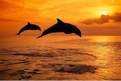 《恐鬼症》下一款更新细节曝光 两只新鬼即将加入战局