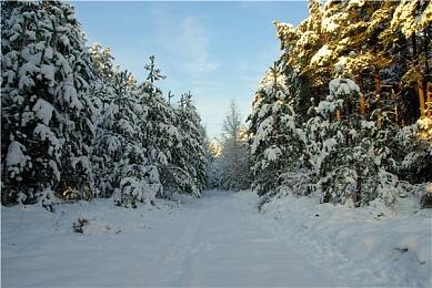 《博德之门3》七号升级档发布之后还会有其它补丁推出