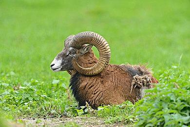 轻度格斗休闲派对游戏《女神试炼》Steam页面上线 支持中文